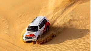 Liwa Full Day Safari on Private Basis (Up to 04 Guests)