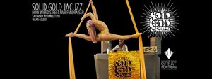Solid Gold Jacuzzi - How Weird Street Fair Fundraiser photo