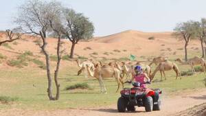 Ras Al Khaimah Mega Desert Safari: Dune Bashing, Quad/Buggy & BBQ Dinner Shared Transfers from Dubai