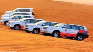 Morning Safari and Sandboarding