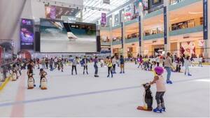 Dubai Ice Rink - General Admission