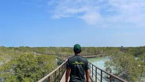 Jubail Mangrove Park - Boardwalk Experience with Ranger