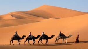 Sunset Camel Safari Dubai | Shared | Al Khayma Camp, BBQ Dinner & Stargazing