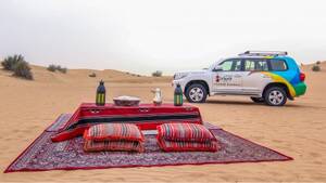 Desert Wonder Safari with BBQ Dinner and Shared Transfers