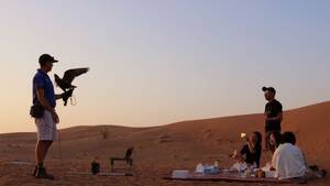Sunrise and Wildlife Experience in the Desert with Shared Transfers
