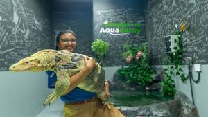 The National Aquarium Abu Dhabi &ndash; Beyond the Glass Experience & Butterfly Garden Abu Dhabi