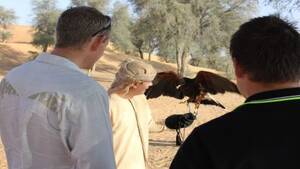 Royal Shaheen - Dubai Falconry Safari - No Breakfast
