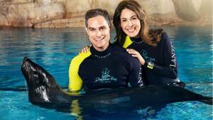 Atlantis Sea Lion Encounter flyer