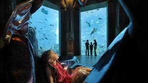 Dubai Flexi Attractions Pass 7 Attractions flyer