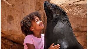 Atlantis Sea Lion Meet & Greet flyer