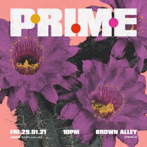 Prime // 29 Jan 21 photo