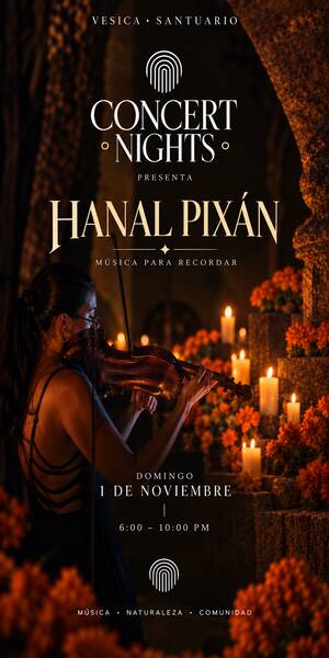 Concert Night | HANAL PIX&Aacute;N Flyer