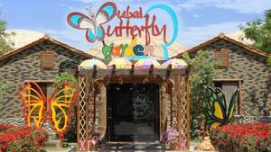 Dubai Butterfly Garden - General Admission flyer