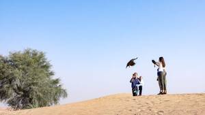 Royal Shaheen - Private Dubai Falconry Safari Without Breakfast flyer