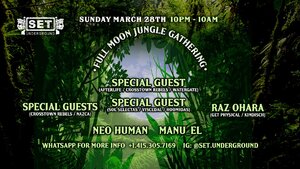 Tulum Full Moon Jungle Gathering with Very Special Guests photo