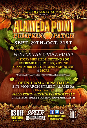 Alameda Point Pumpkin Patch photo