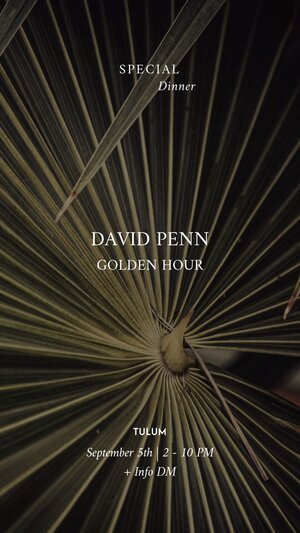 DAVID PENN