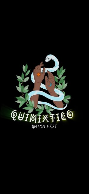 Quimixtico Union Fest (Puerto Vallarta) photo