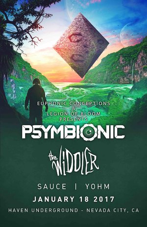 Psymbionic & the Widdler photo