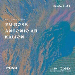 WEST SIDE PROJECT EN F&Uuml;NK