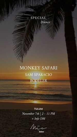 MONKEY SAFARI