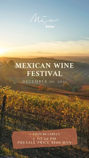 MEXICAN WINE FESTIVAL photo