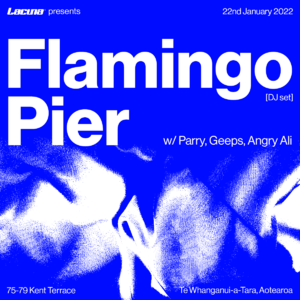 Lacuna Presents: Flamingo Pier (DJ set)