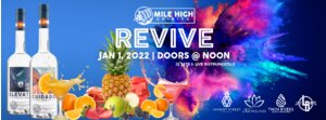 REVIVE - A New Year's DAY Party photo