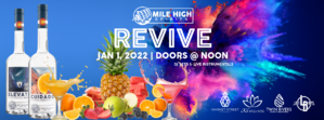 REVIVE - A New Year's DAY Party