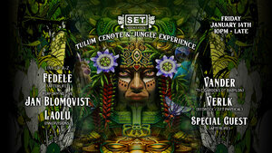 Tulum Cenote Jungle Experience with Jan Blomqvist and many more