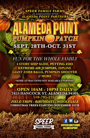 Alameda Point Pumpkin Patch Friends and Family Soft Opening