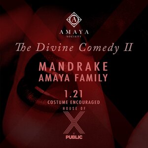 Amaya Society: MANDRAKE