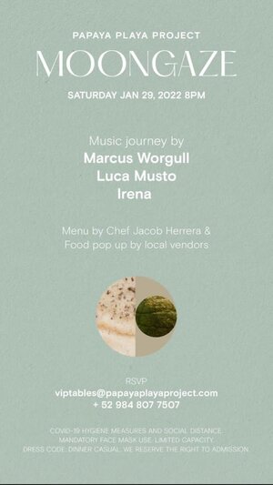 Moongaze - Marcus Worgull, Luca Musto, Irena photo