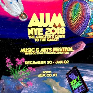 AUM 2018 New Year's Eve Festival photo