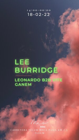 LEE BURRIDGE photo