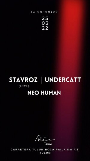 STAVROZ - UNDERCATT