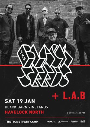 The Black Seeds + L.A.B - Black Barn Vineyards photo