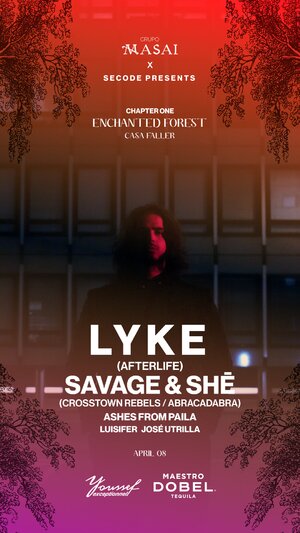 Chapter One: Enchanted Forest
