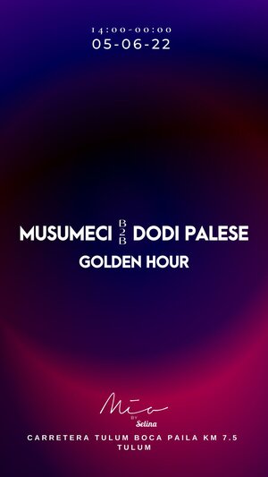 MUSUMECI B2B DODI PALESE