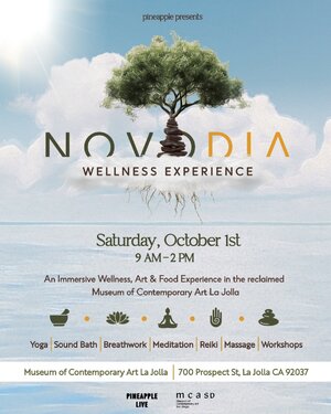 Novo Dia - Wellness Experience