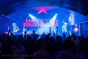 Infected Mushroom AUCKLAND photo