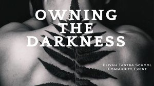 Owning the Darkness photo