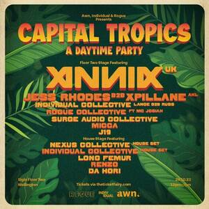 Capital Tropics feat. ANNIX (UK) photo