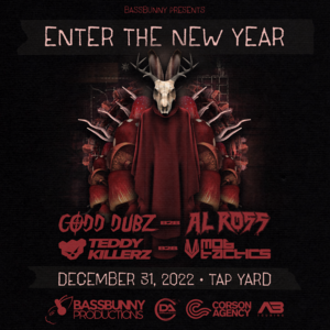 Bassbunny Presents: Enter The New Year photo