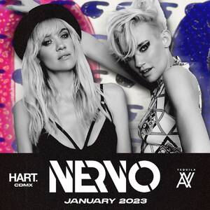 Nervo photo