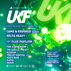 UKF Festival | Hamilton photo