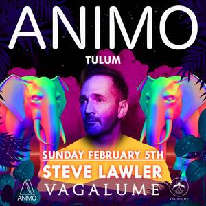ANIMO TULUM 5th February @VAGALUME