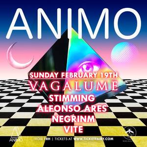 ANIMO TULUM February 19th @VAGALUME