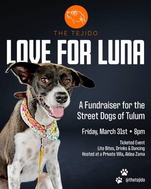 LOVE FOR LUNA: The Tejido Fundraiser