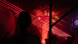 Jungle Sessions 4 photo